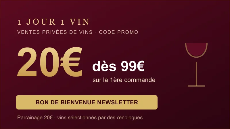 Carte code promo 1 Jour 1 Vin : 20€ de réduction dès 99€ sur la première commande, ventes privées de vins