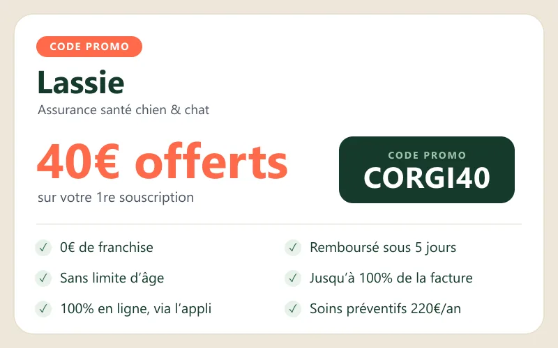 Code promo Lassie CORGI40 : 40€ offerts sur l’assurance chien et chat, 0€ de franchise, remboursement jusqu’à 100% sous 5 jours, sans limite d’âge et soins préventifs inclus jusqu’à 220€/an